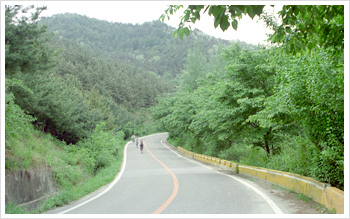 우암산 여름 전경